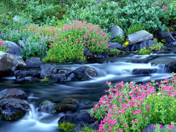 landscapes, Nature, Paradise, Waterfalls, National, Park, Washington, Mount, Rainier HD Wallpaper Desktop Background