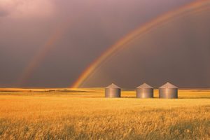 canada, Alberta, Rainbows