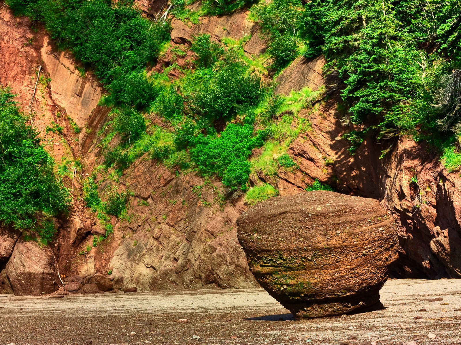 nature Wallpaper