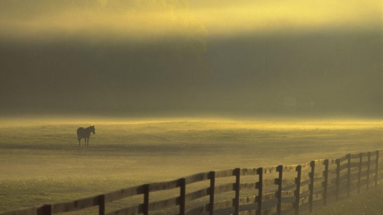 sunrise, Ohio, Farms HD Wallpaper Desktop Background