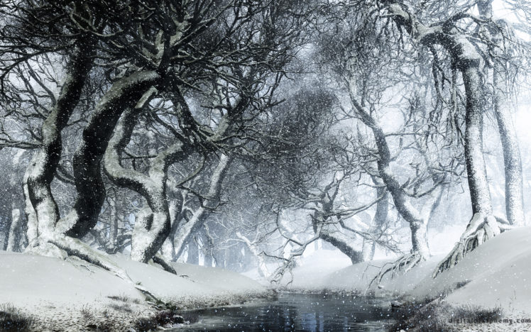 landscapes, Winter, Snow, Trees HD Wallpaper Desktop Background