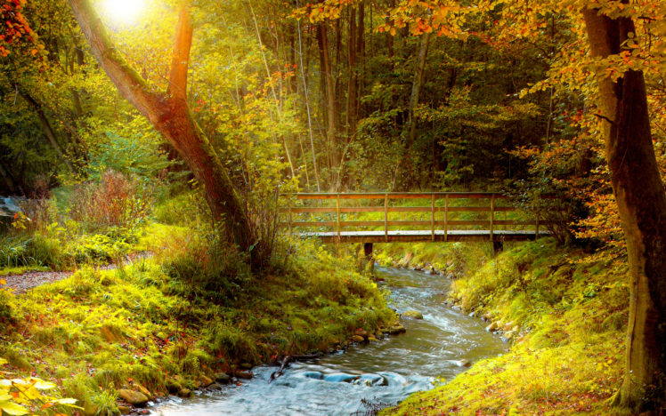 landscapes, Nature, Rivers, Trees, Forests, Bridges, Architecture, Autumn, Fall, Seasons HD Wallpaper Desktop Background