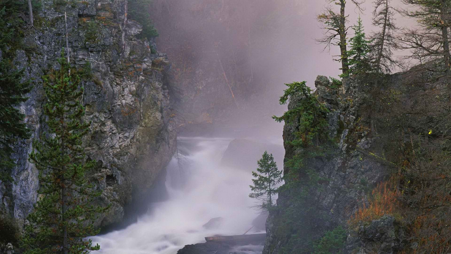 wyoming, Yellowstone, Rivers, National, Park Wallpaper
