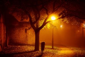 landscapes, Night, Lights, Mood, Autumn, Fall, Seasonal, Fog, Mist, Places, Houses, Buildings, Architecture, Trees, Lamps, Lamp posts, Photography