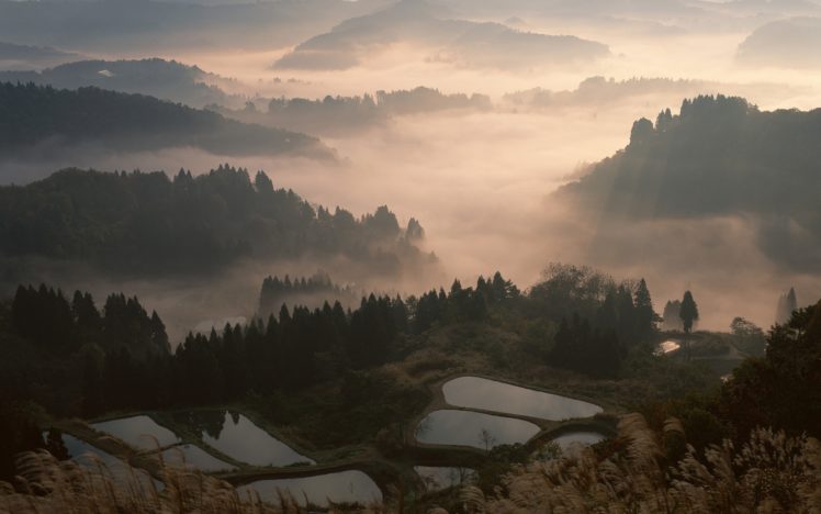fog, In, Japan HD Wallpaper Desktop Background