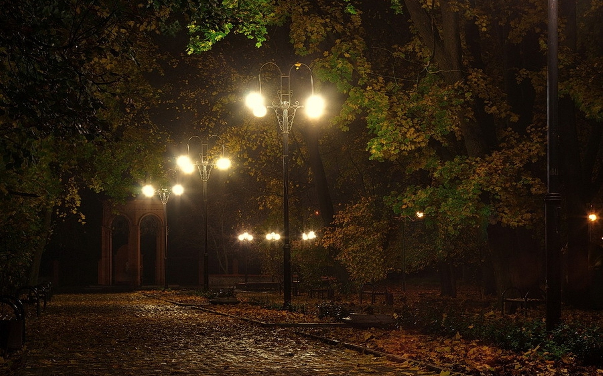 landscapes, Lamps, Lamp posts, Benches, Lights, Night, Pathways, Roads, Lanes, Autumn, Fall, Seasons, Trees, Leaves, Moo Wallpaper