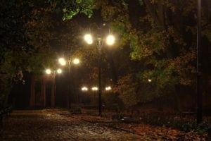 landscapes, Lamps, Lamp posts, Benches, Lights, Night, Pathways, Roads, Lanes, Autumn, Fall, Seasons, Trees, Leaves, Moo