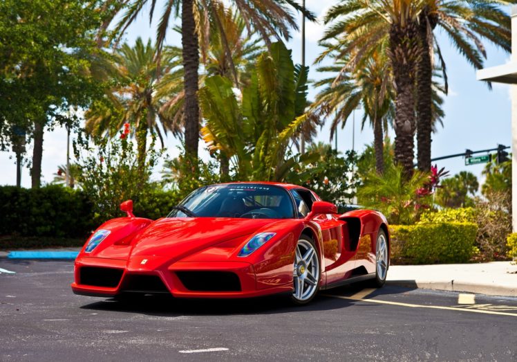 vehicles, Cars, Ferrari, Enzo, Red, Exotic cars HD Wallpaper Desktop Background