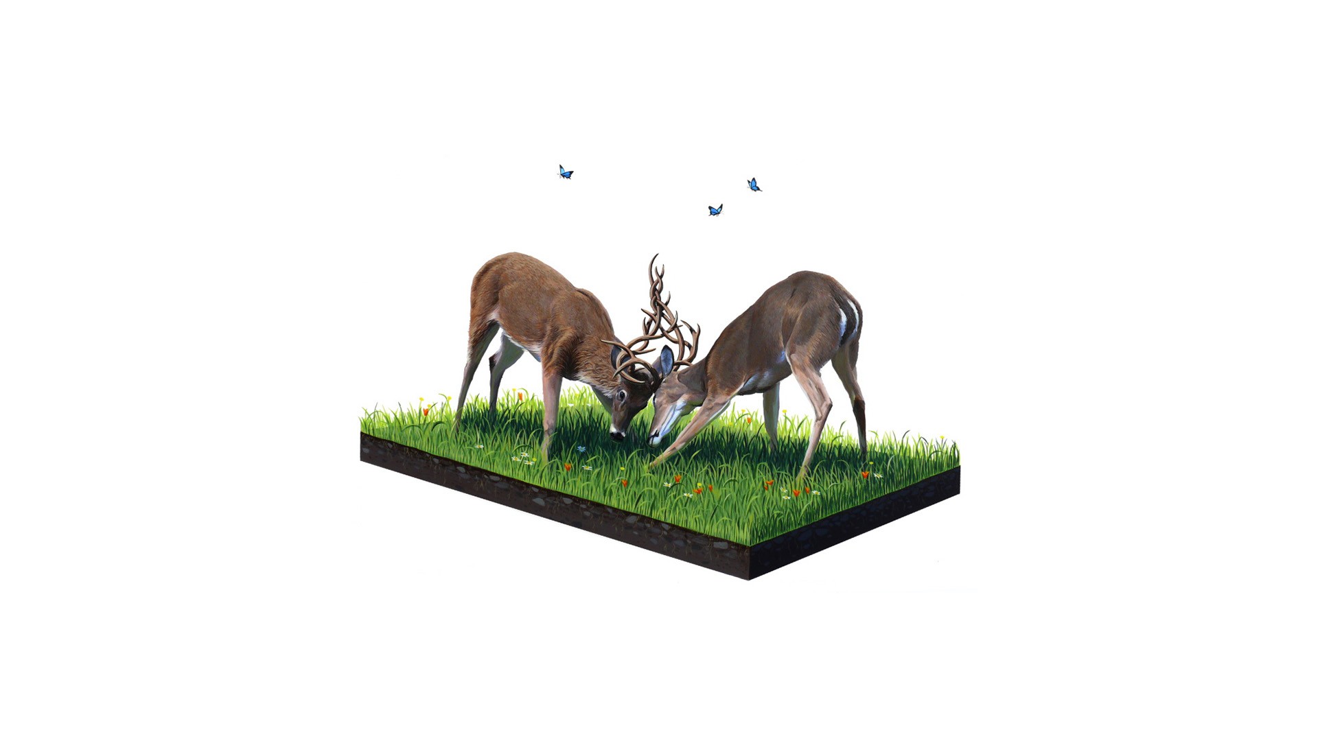 animals, Deer Wallpaper