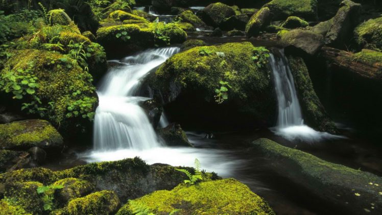 forests, National, Oregon HD Wallpaper Desktop Background
