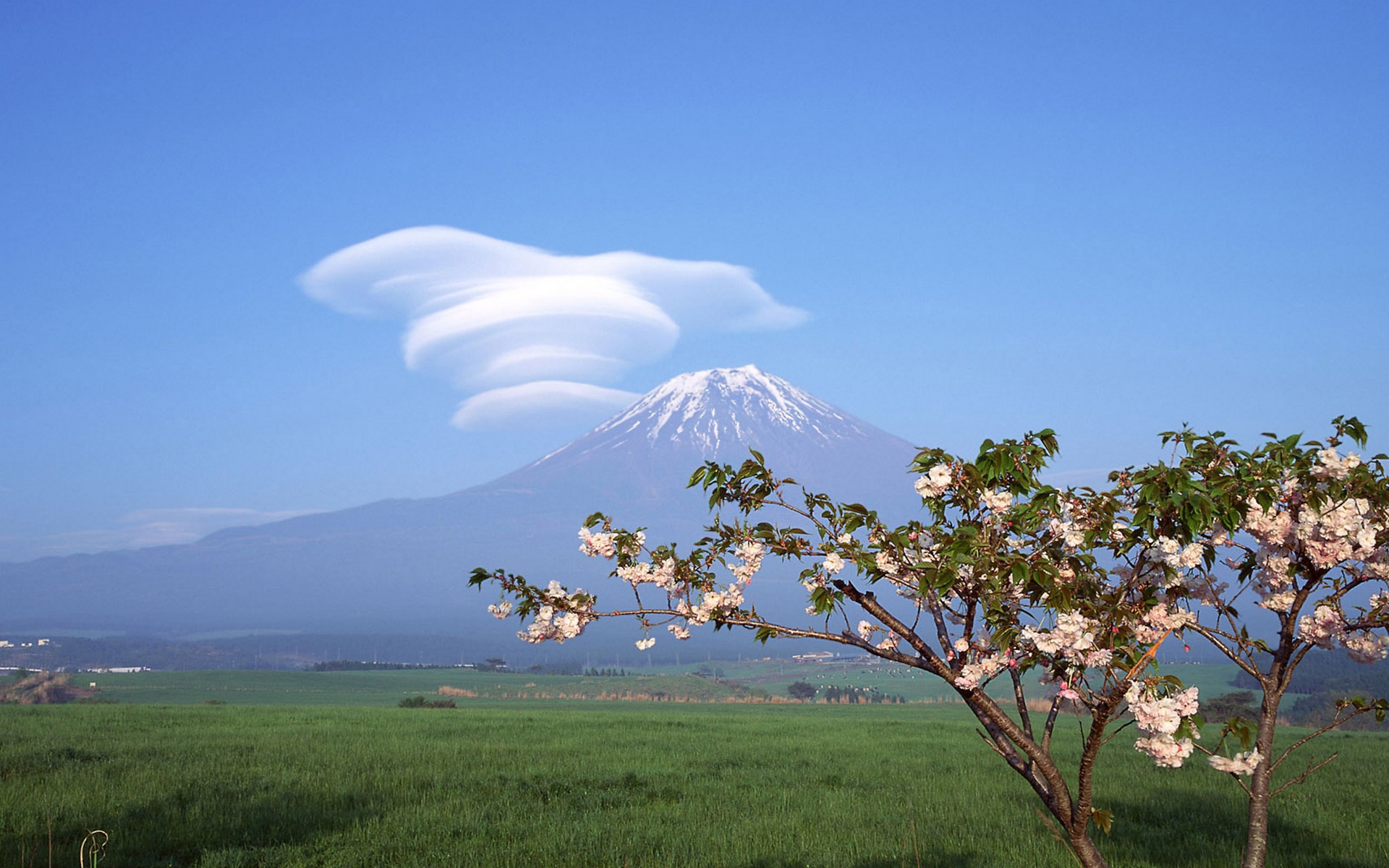 japan, Clouds, Landscapes, Mount, Fuji, Cherry, Blossoms, Trees, Flowers, Spring Wallpaper