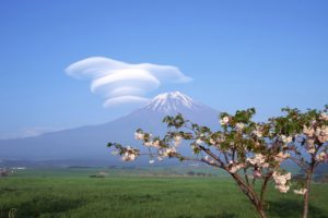 japan, Clouds, Landscapes, Mount, Fuji, Cherry, Blossoms, Trees, Flowers, Spring