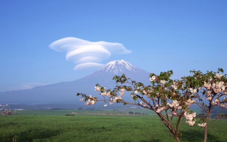 japan, Clouds, Landscapes, Mount, Fuji, Cherry, Blossoms, Trees, Flowers, Spring HD Wallpaper Desktop Background