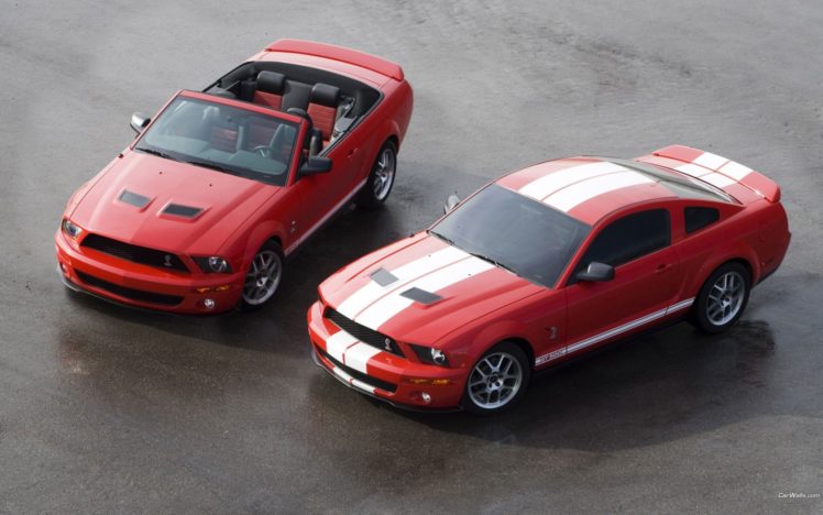 cars, Ford, Vehicles, Ford, Mustang, Automotive HD Wallpaper Desktop Background