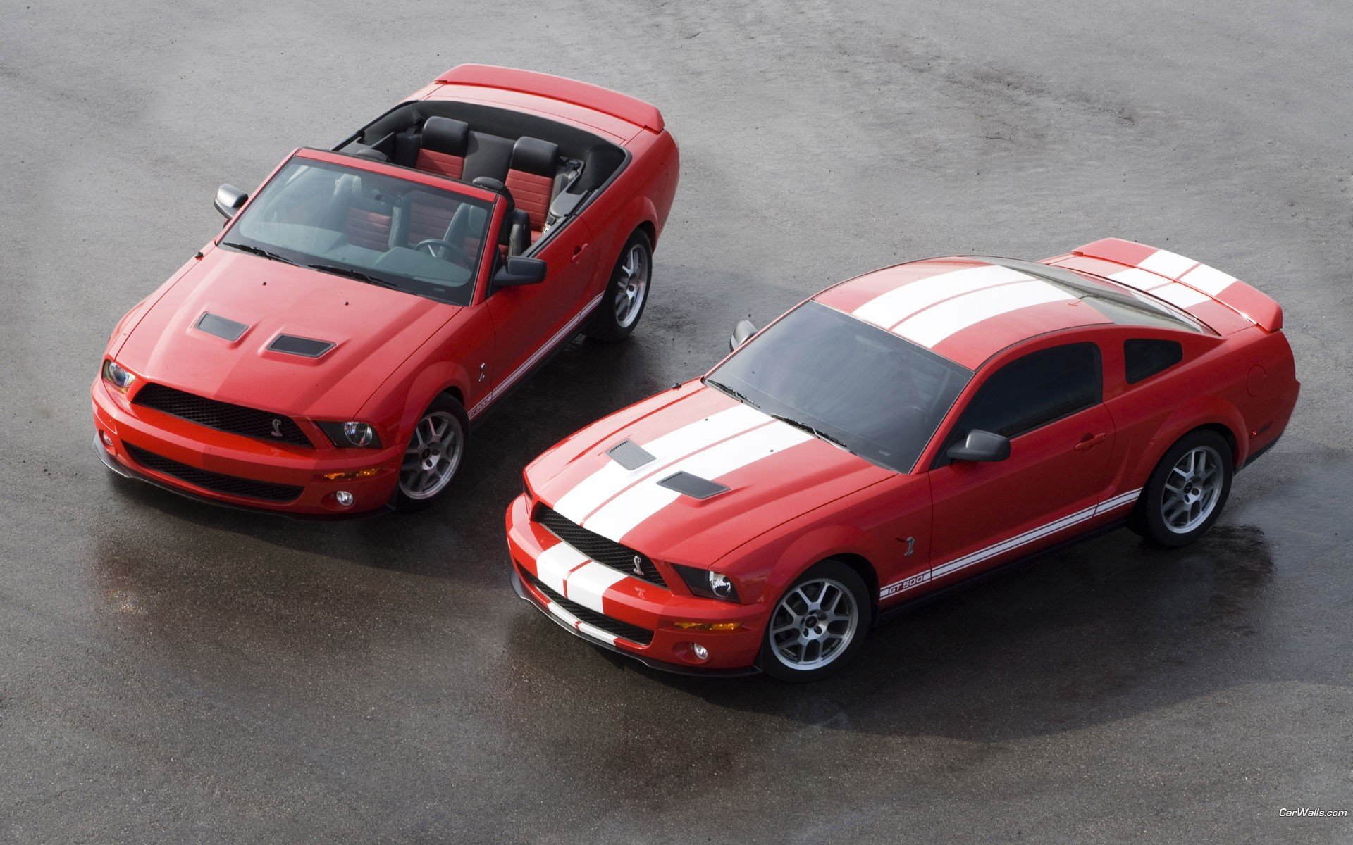 cars, Ford, Vehicles, Ford, Mustang, Automotive Wallpaper