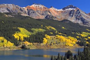 yellow, Head, Colorado, Lakes, Colors, Trout