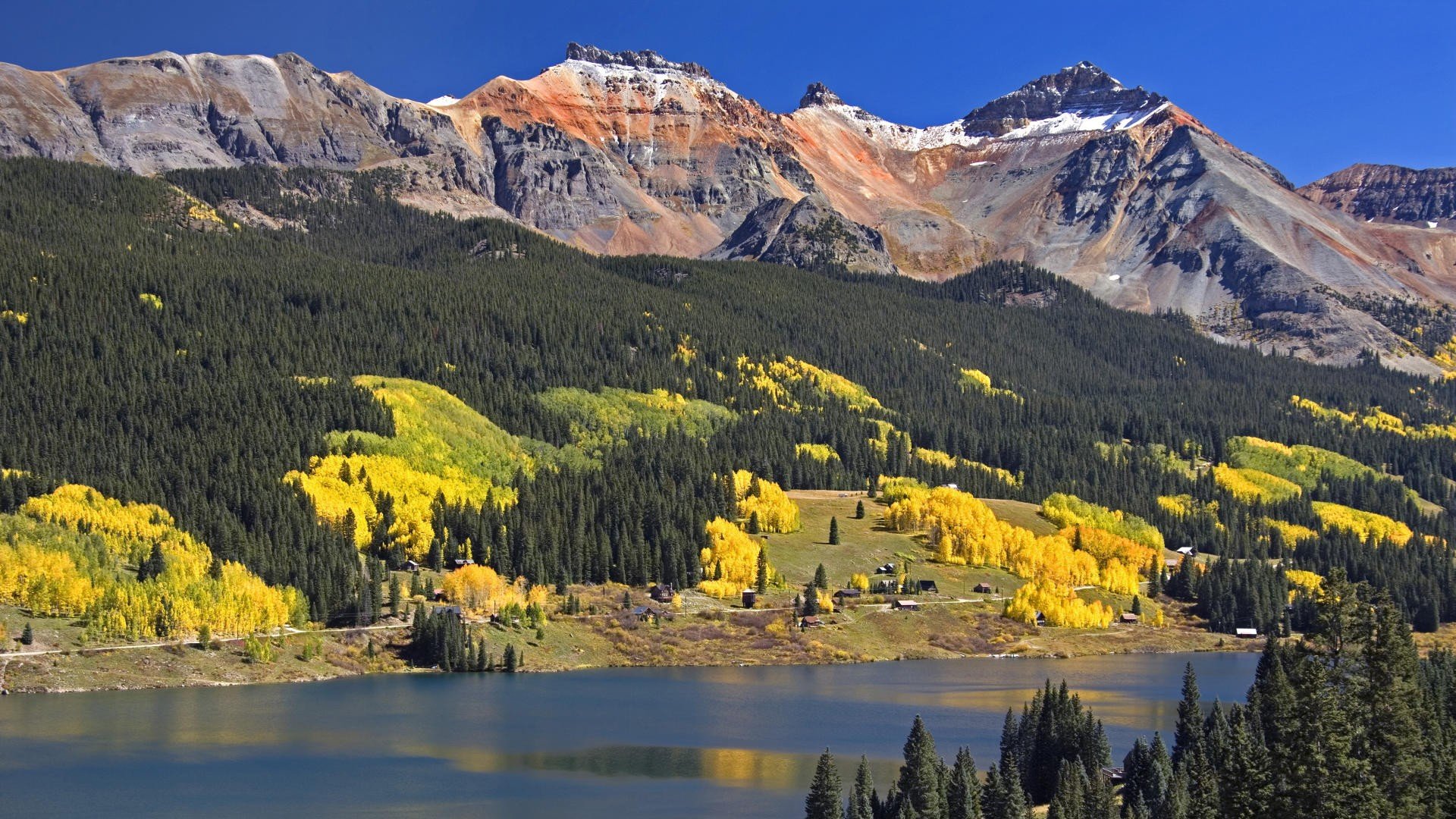 yellow, Head, Colorado, Lakes, Colors, Trout Wallpaper