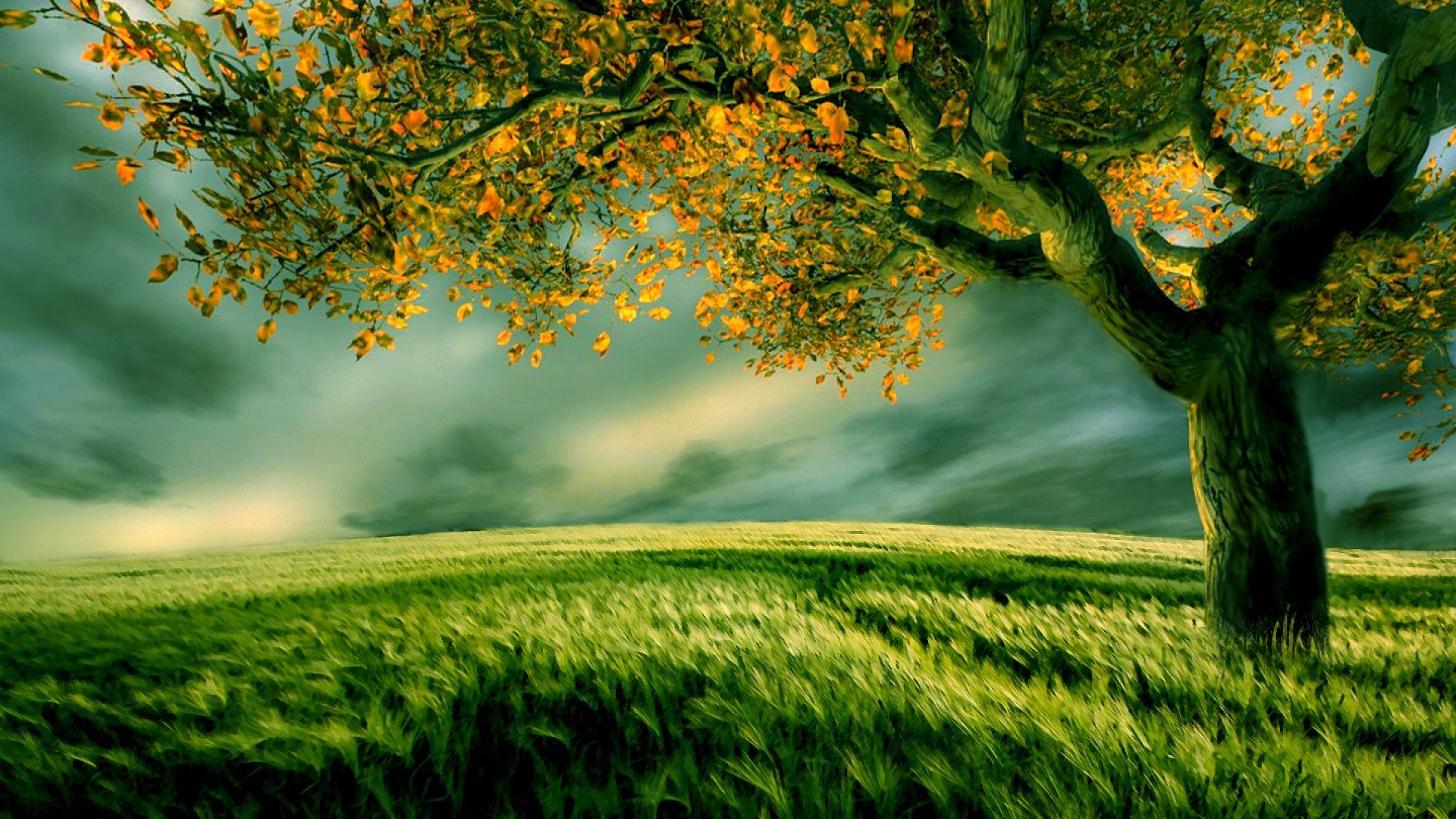 green, Landscapes, Nature, Trees Wallpaper