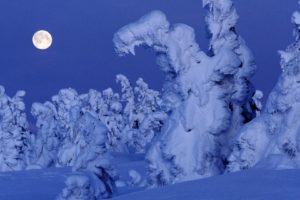 snow, Trees, Moon, Norway