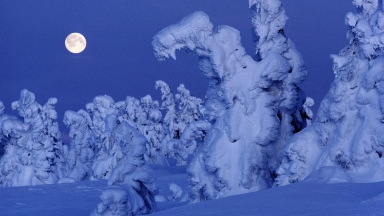 snow, Trees, Moon, Norway HD Wallpaper Desktop Background