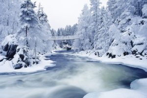 snow, Trees, Snow, Landscapes, Rivers
