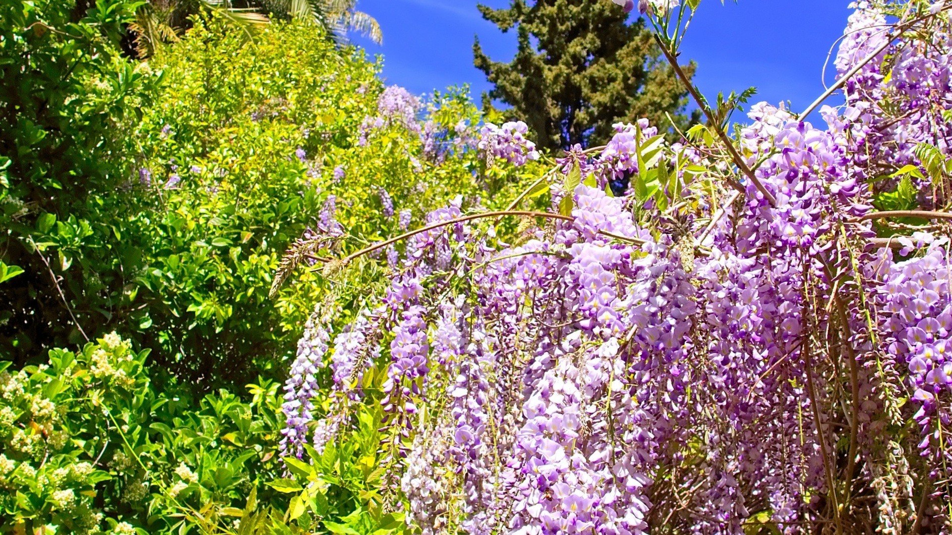 landscapes, Nature Wallpaper