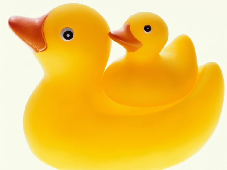 ducks, Rubber, Ducks HD Wallpaper Desktop Background