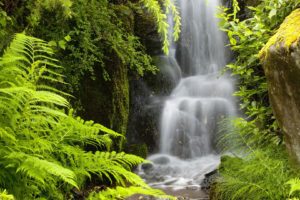 garden, Seattle, Waterfalls, Washington