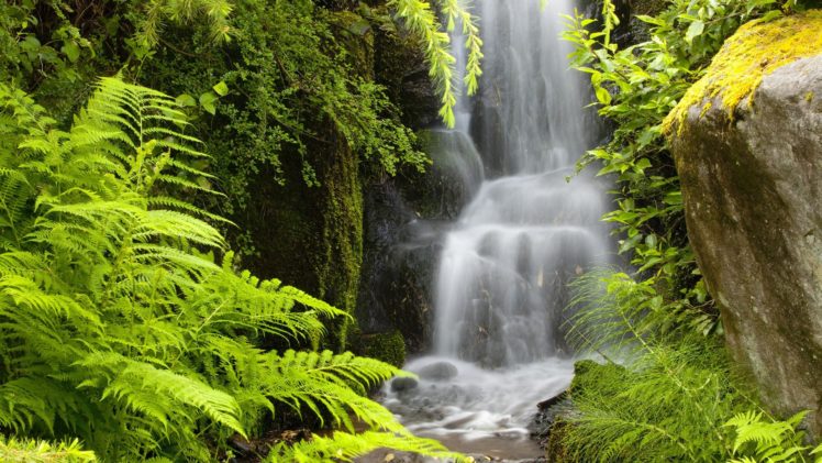garden, Seattle, Waterfalls, Washington HD Wallpaper Desktop Background
