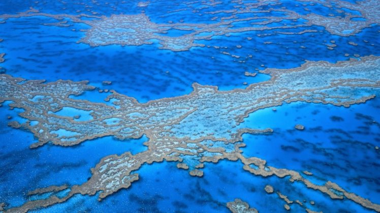 australia, Great, Barrier, Reef HD Wallpaper Desktop Background