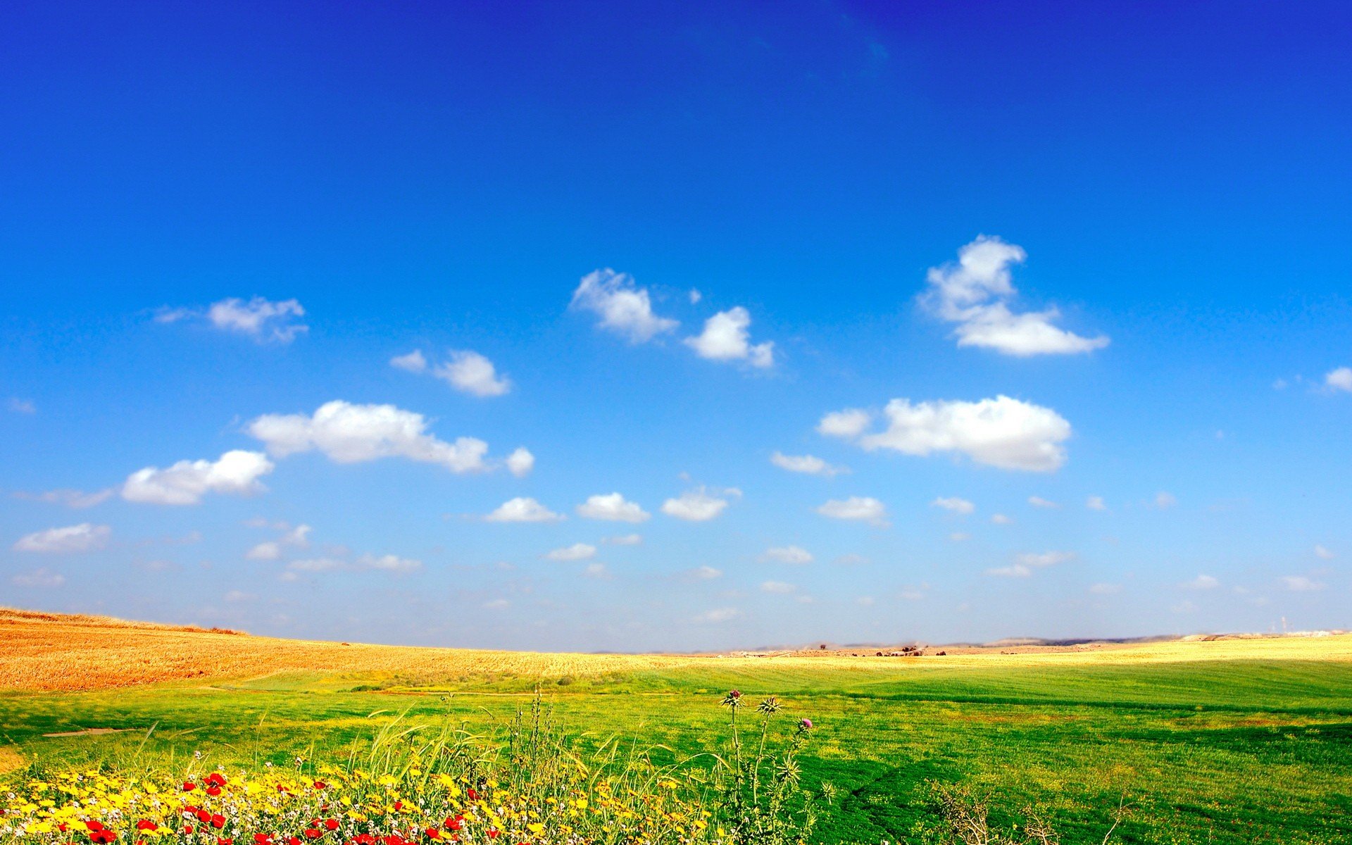 fields Wallpaper