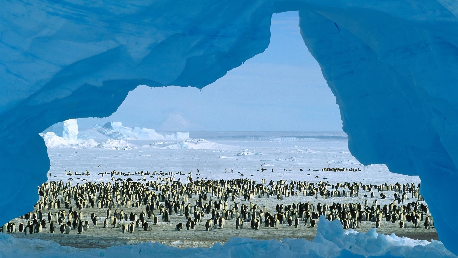antarctica, Bay, Sea Wallpaper