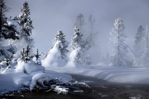 landscapes, Nature, Trees, Snow, Landscapes