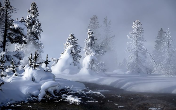 landscapes, Nature, Trees, Snow, Landscapes HD Wallpaper Desktop Background