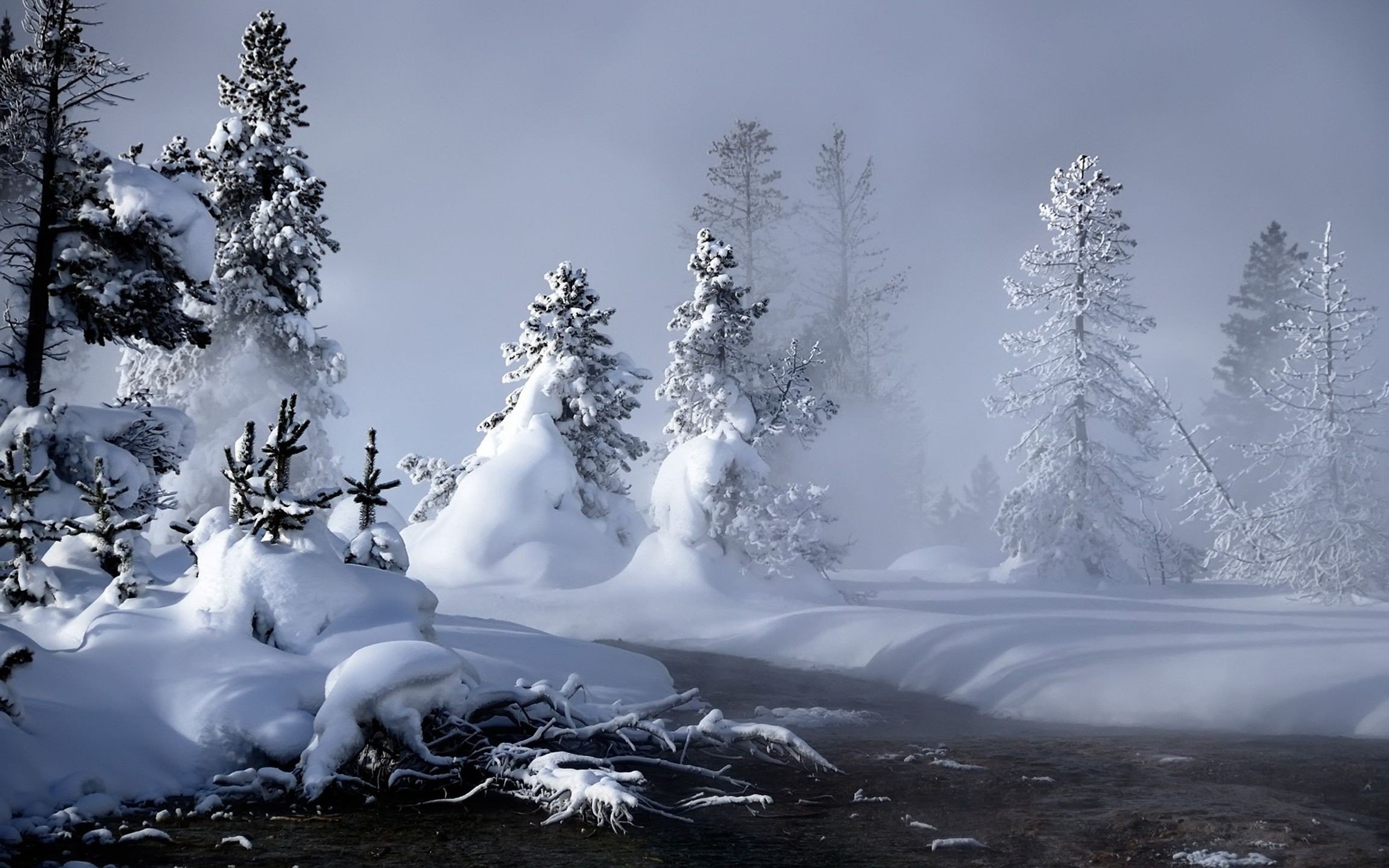 landscapes, Nature, Trees, Snow, Landscapes Wallpaper