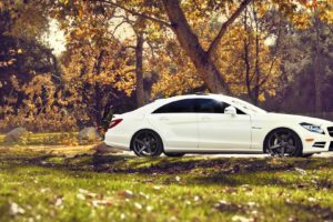 nature, Cars, Vehicles, White, Cars, Mercedes benz, Cls, Mercedes, Benz, Cls, 63, Amg
