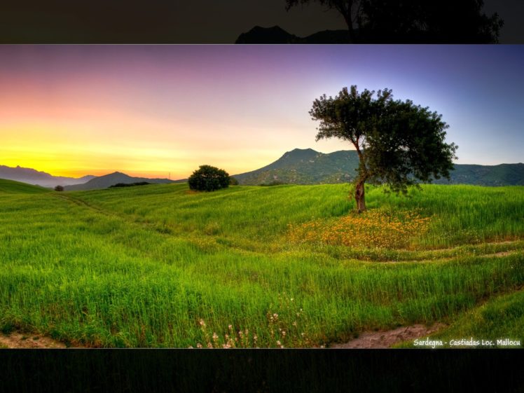 sunrise, Landscapes, Trees HD Wallpaper Desktop Background