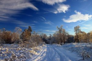 snow, Roads, Snow, Landscapes