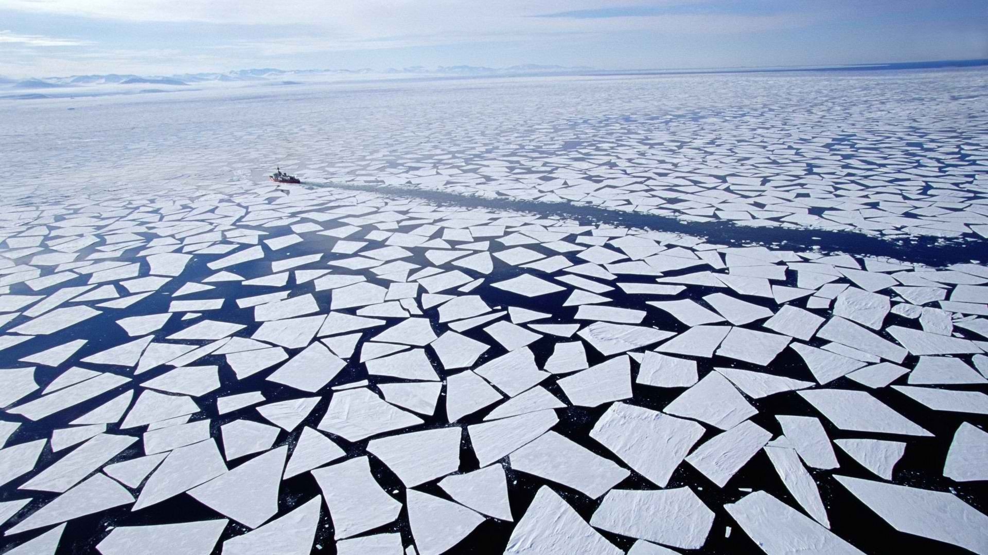 ice, Arctic Wallpaper
