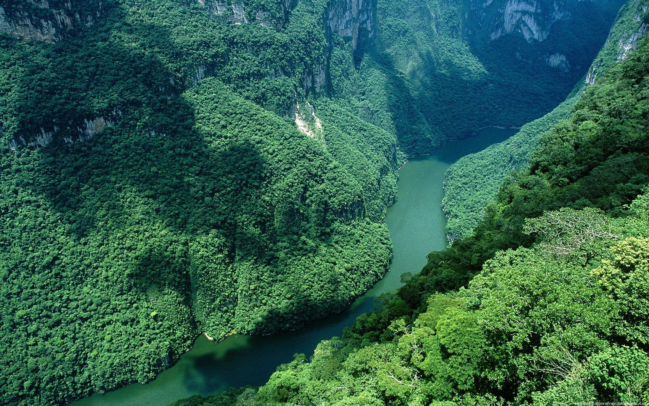 landscapes Wallpaper