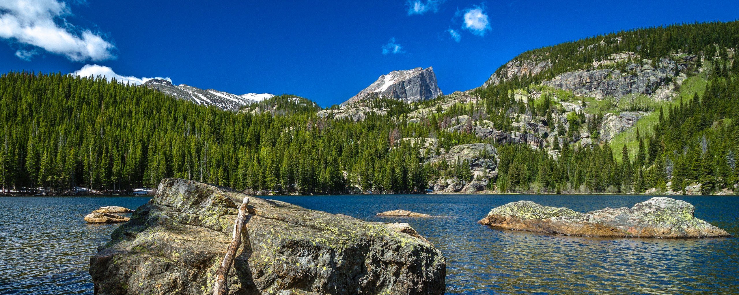 nature Wallpaper