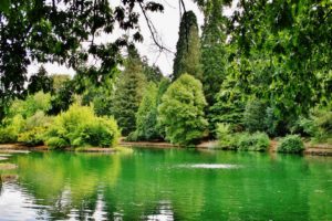 green, Landscapes, Nature, Trees, Spring, Lakes, Parks