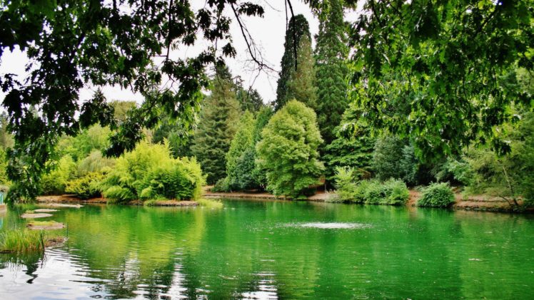 green, Landscapes, Nature, Trees, Spring, Lakes, Parks HD Wallpaper Desktop Background