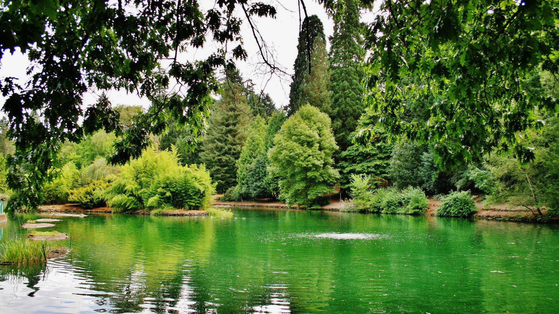 green, Landscapes, Nature, Trees, Spring, Lakes, Parks Wallpaper