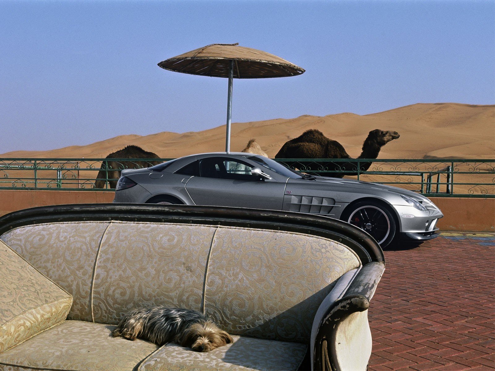 cars, Mercedes benz Wallpaper