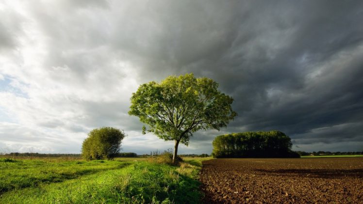 clouds, Landscapes, Nature, Trees, Grass, Farm, Sky HD Wallpaper Desktop Background