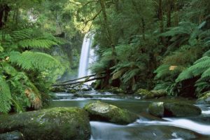falls, Australia, Rivers, National, Park, Victoria, Australia