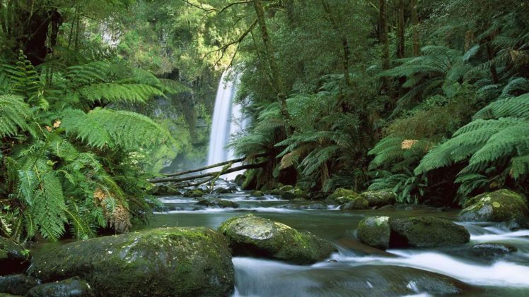 falls, Australia, Rivers, National, Park, Victoria, Australia HD Wallpaper Desktop Background