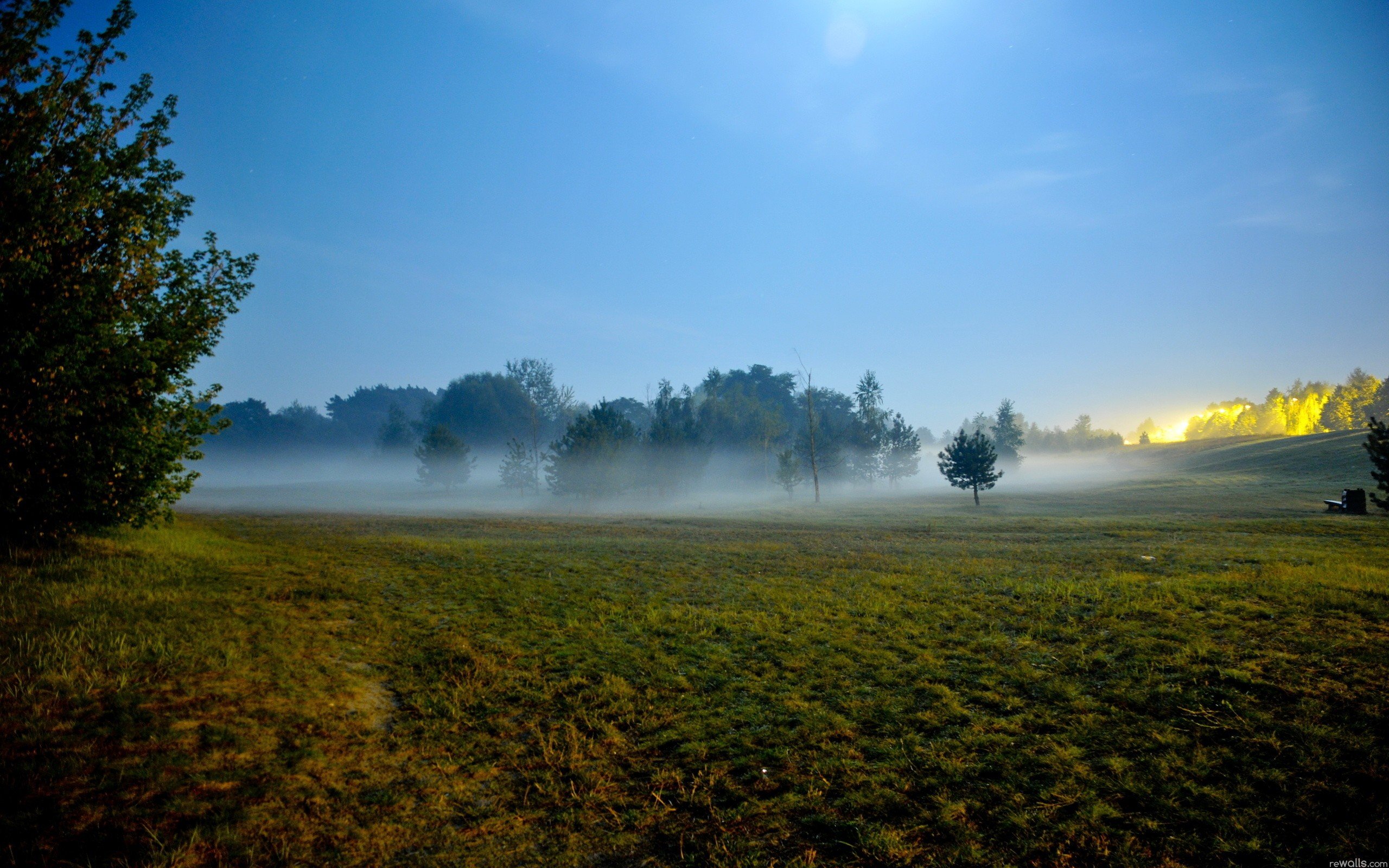 nature Wallpaper