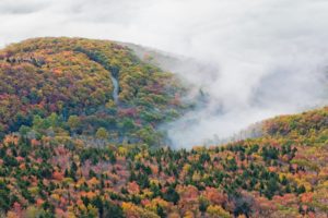 nature, Mountain, Forest, Landscape, Fog, Ultrahd, 4k, Wallpaper